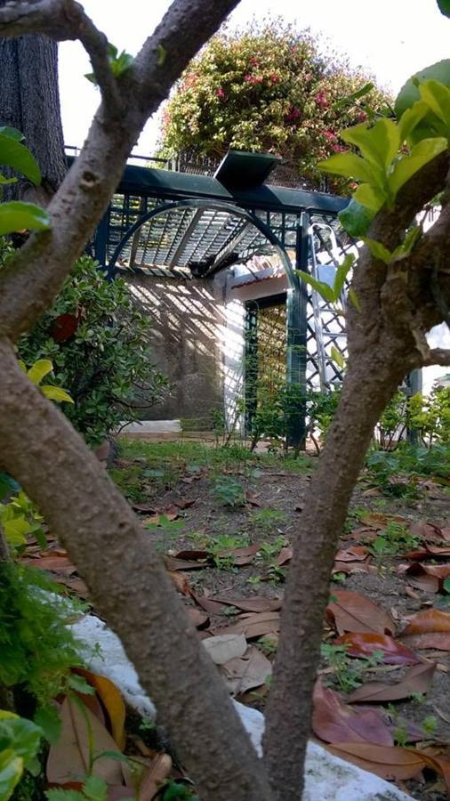 Villa Iscla Maison D'Hotes Ischia Kültér fotó
