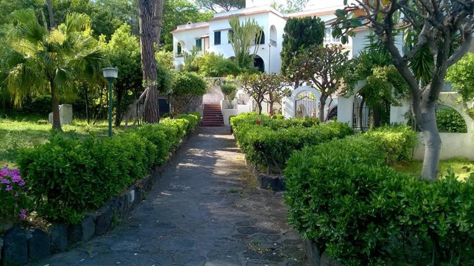 Villa Iscla Maison D'Hotes Ischia Kültér fotó