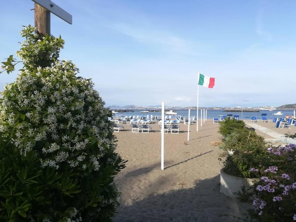 Villa Iscla Maison D'Hotes Ischia Kültér fotó